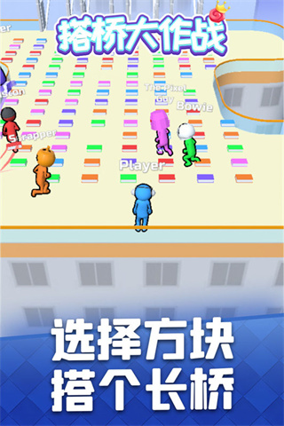 Bridge Race安装器图4