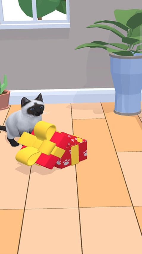 猫咪想恋爱图2