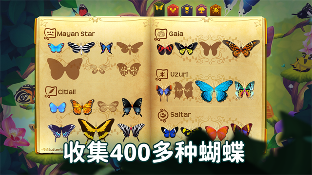彩翼蝴蝶保护区图3