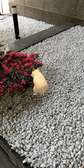 なまはむ