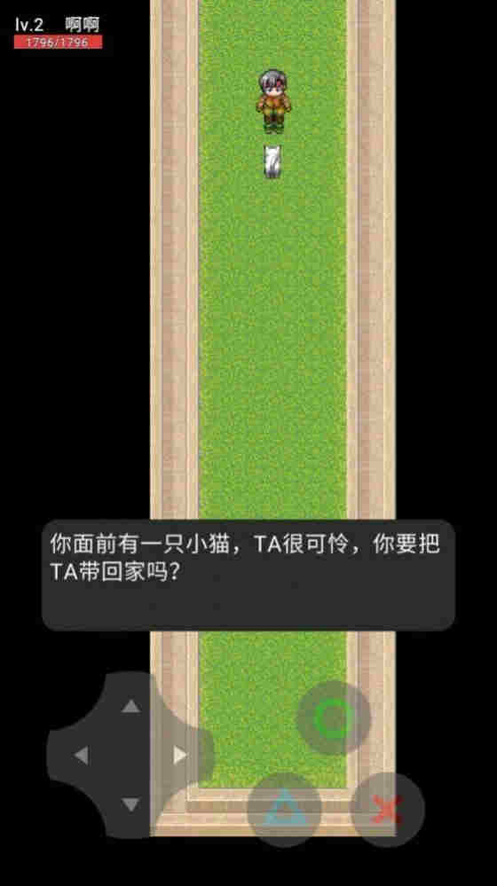 猫咪惊魂图3