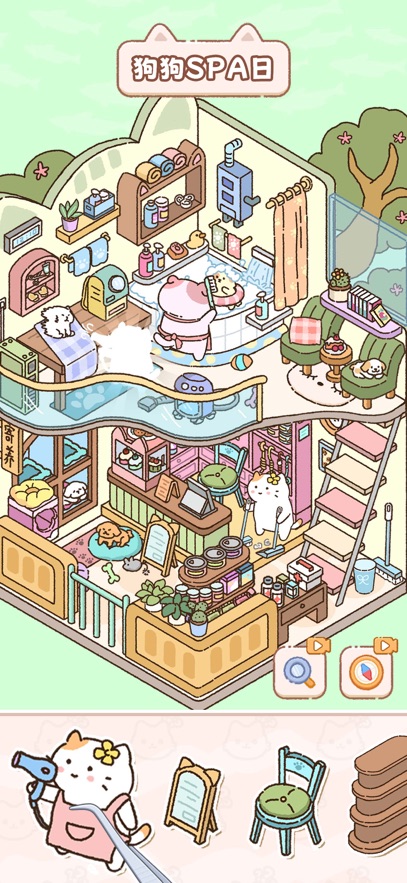 猫咪整理师 猫咪整理师