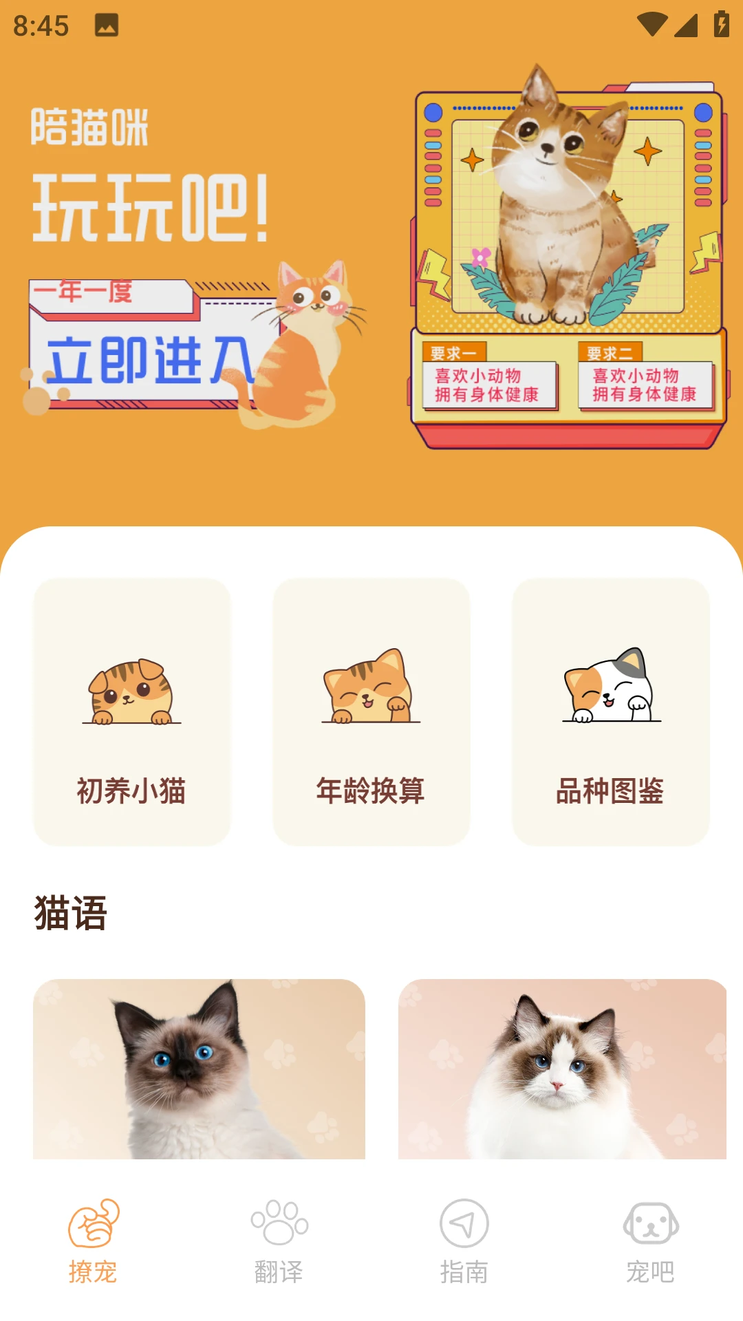 Peppycat猫语翻译器图1