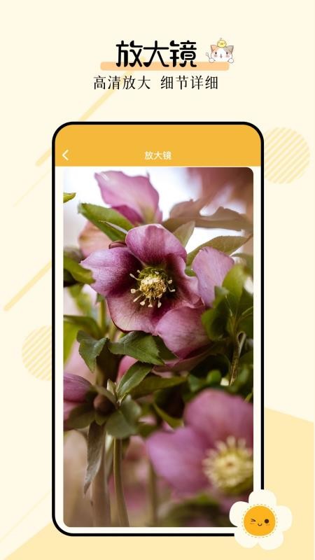 多功能小组件图4