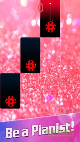 瓢虫钢琴图3
