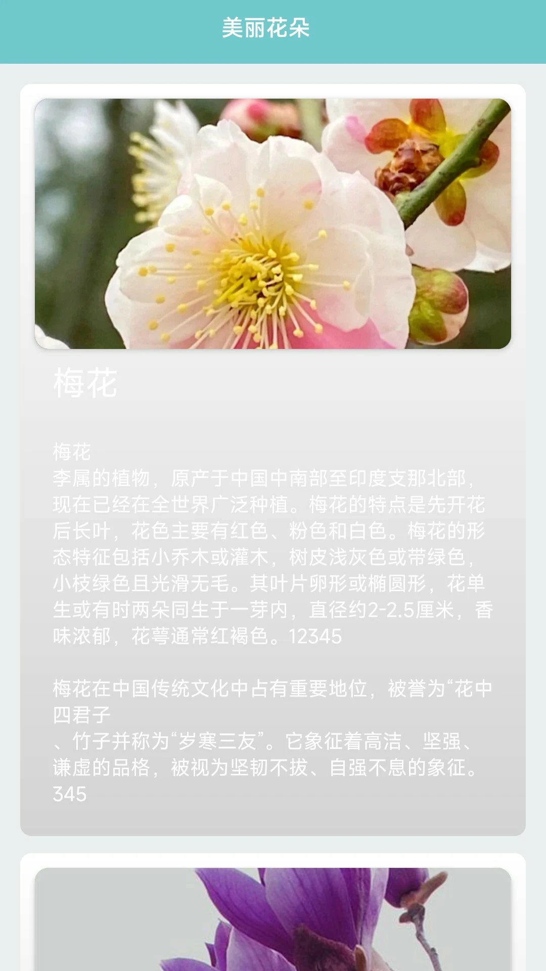 我的花店图2