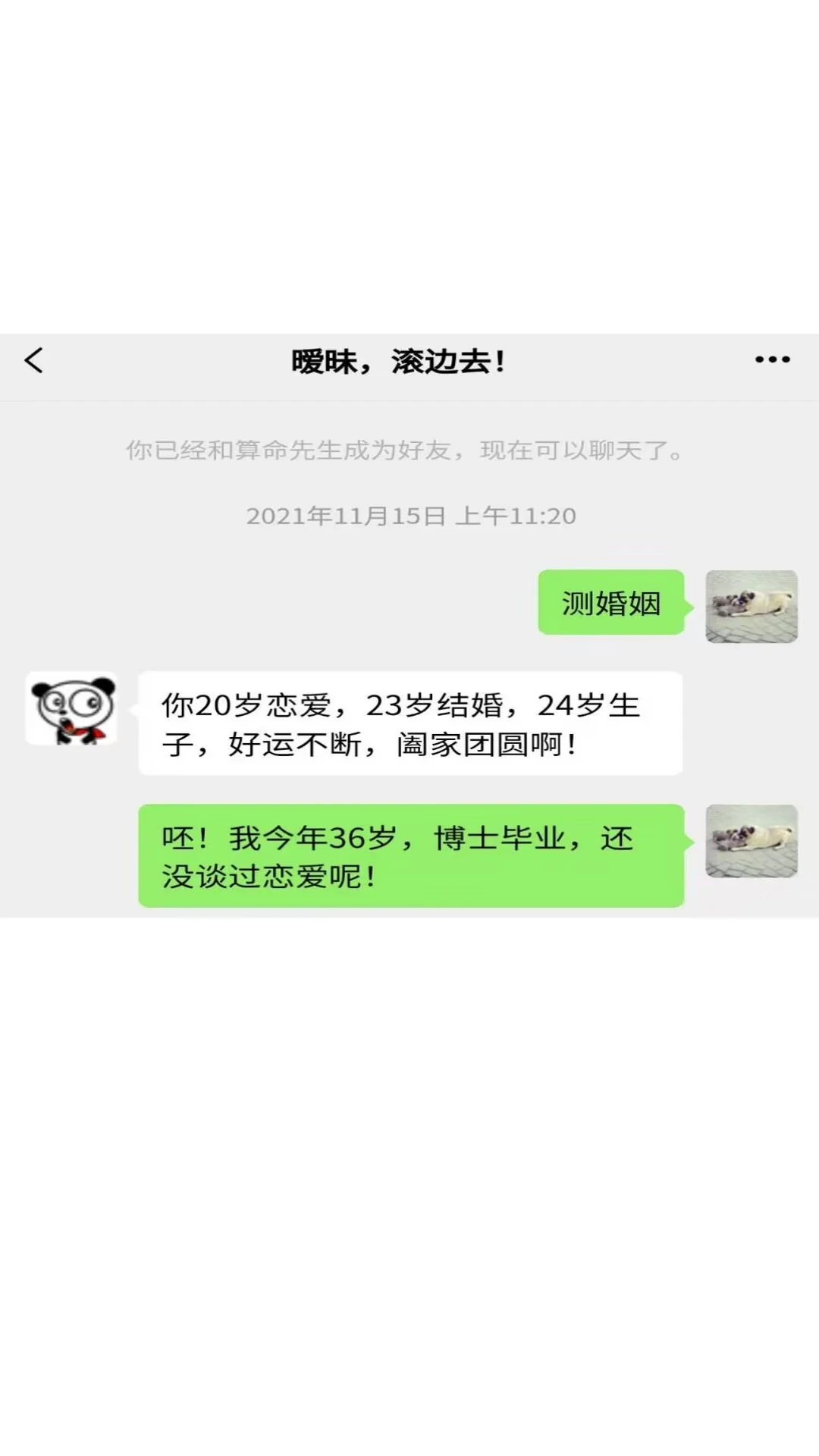 对话视频生成器图5