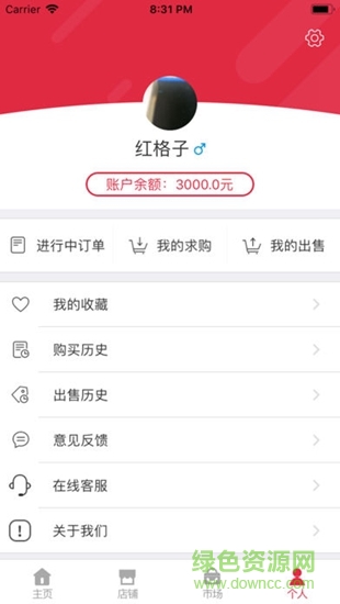 红格子图4