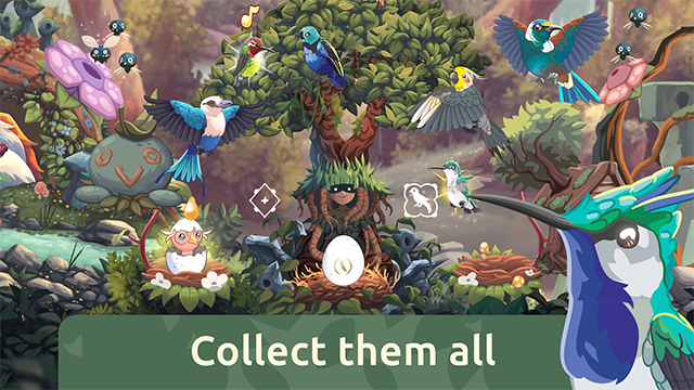 Bird Kind安装器图5