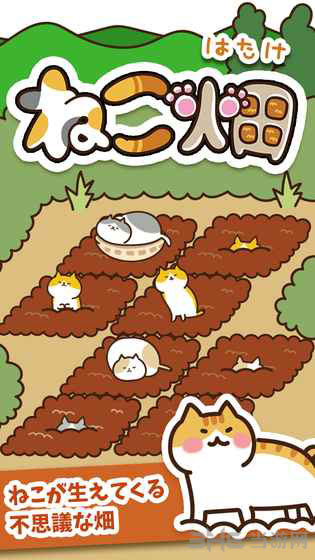 猫咪田园破解版 安卓版v2.2.2