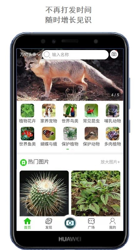 万物头条图4