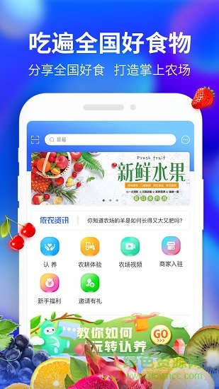 天马易购图4