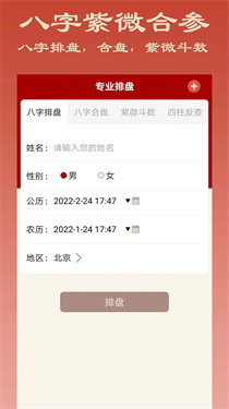 大师八字排盘图6