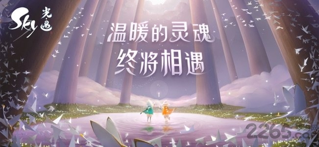 sky光遇体验服免费图1