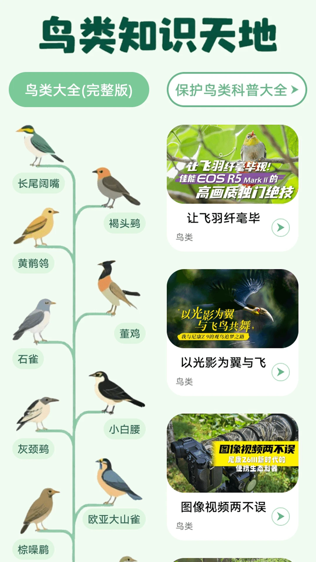 小飞飞重逢魔乐园图1