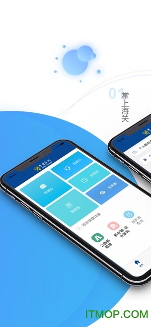 掌上海关ios最新版