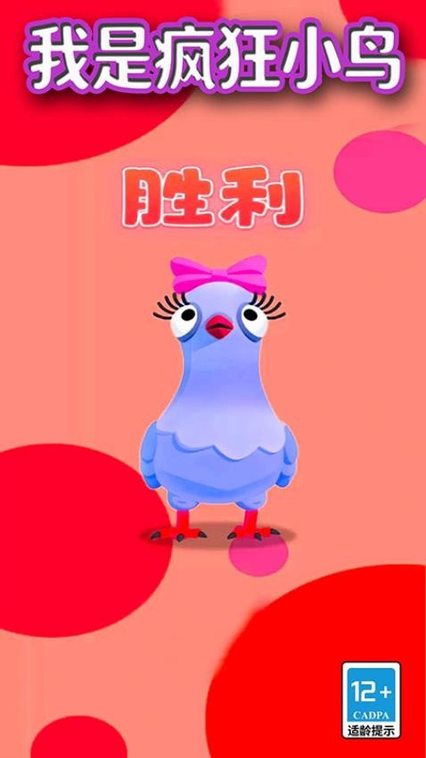我是疯狂小鸟图3