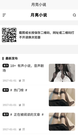 月亮小说图2