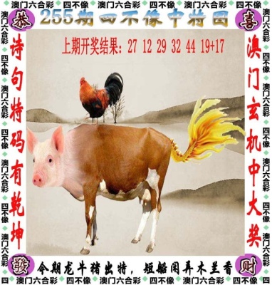 红姐彩色统一图库