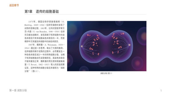 遗传与进化 遗传与进化