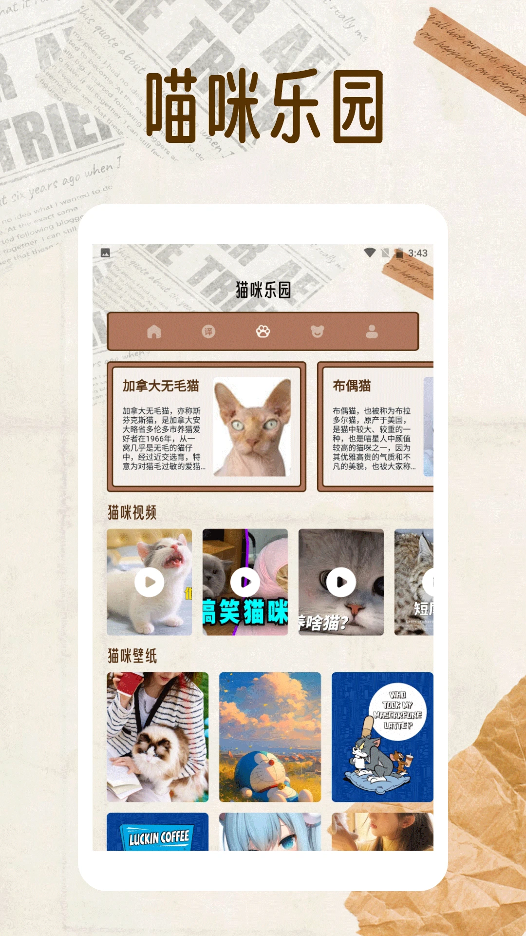 纸萌猫翻译乐园图3