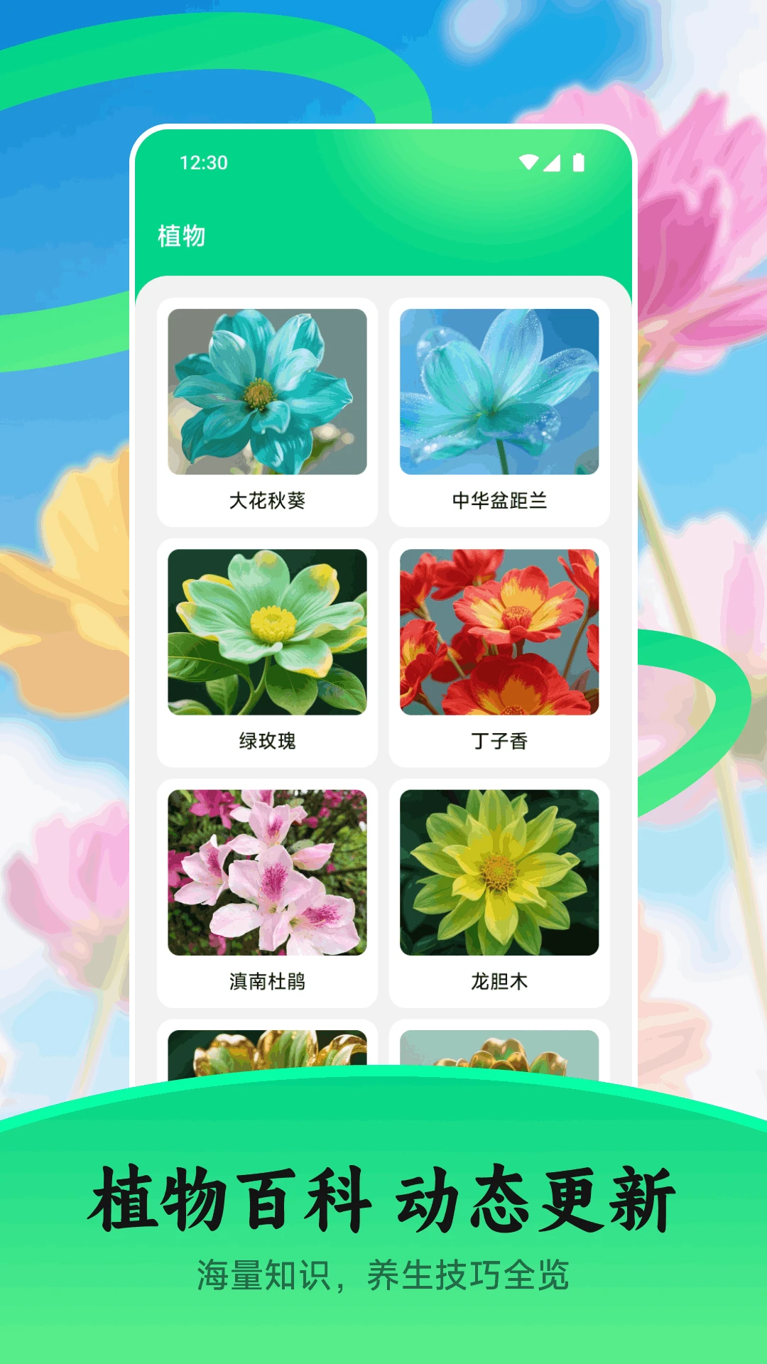 花苞图4