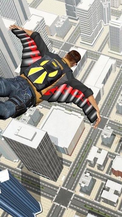 翼装飞行模拟器图4