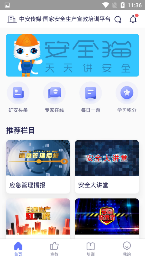 安全猫图2