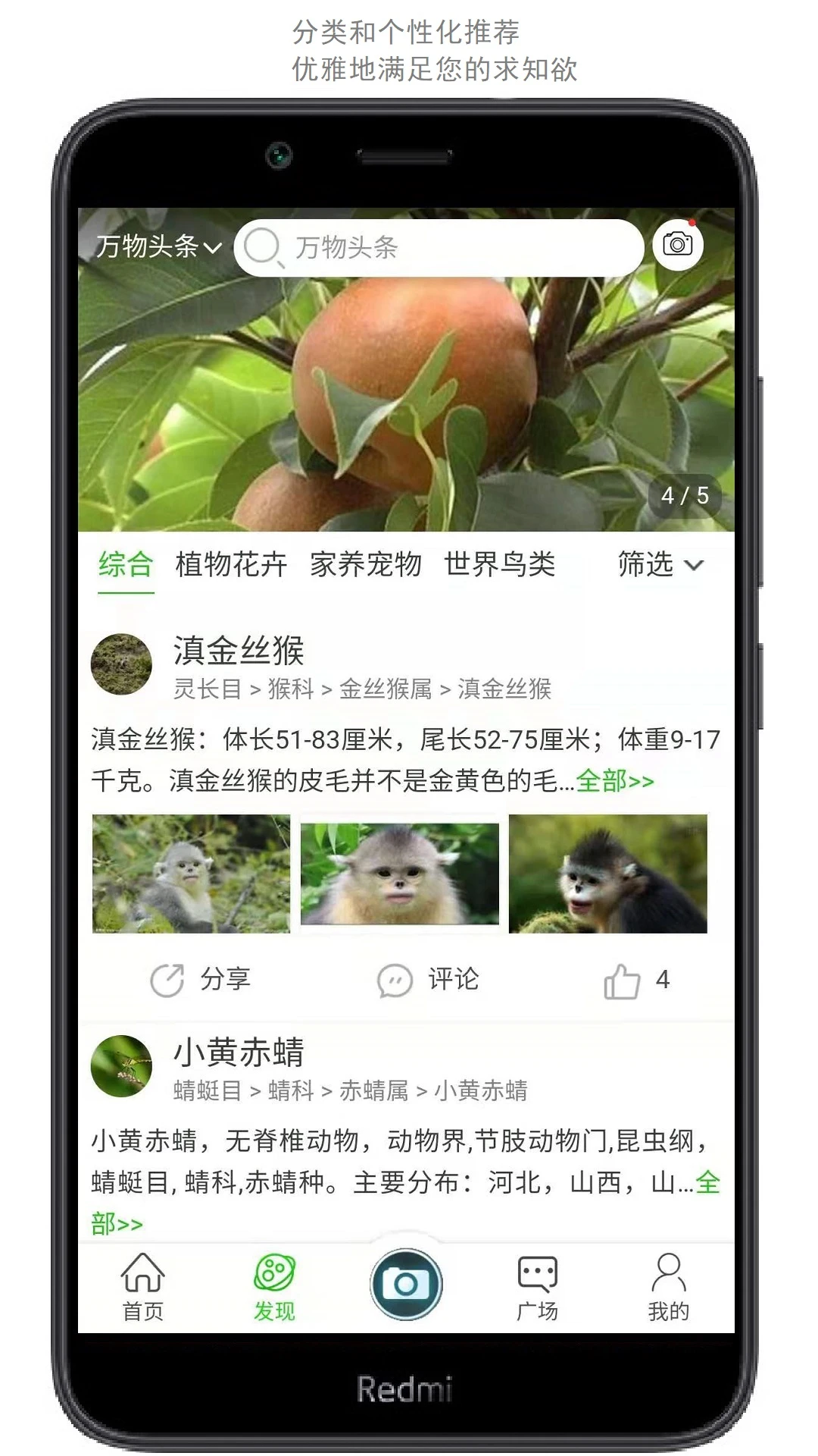 万物志图2