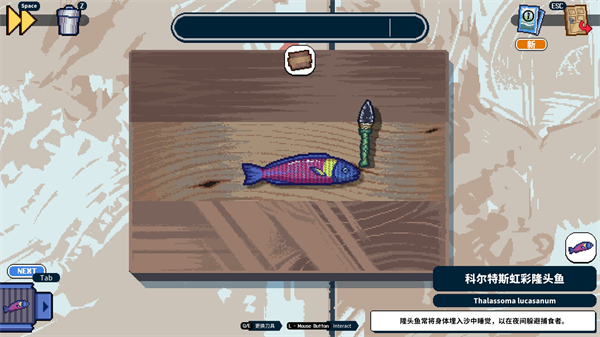 深海刮刮乐图2