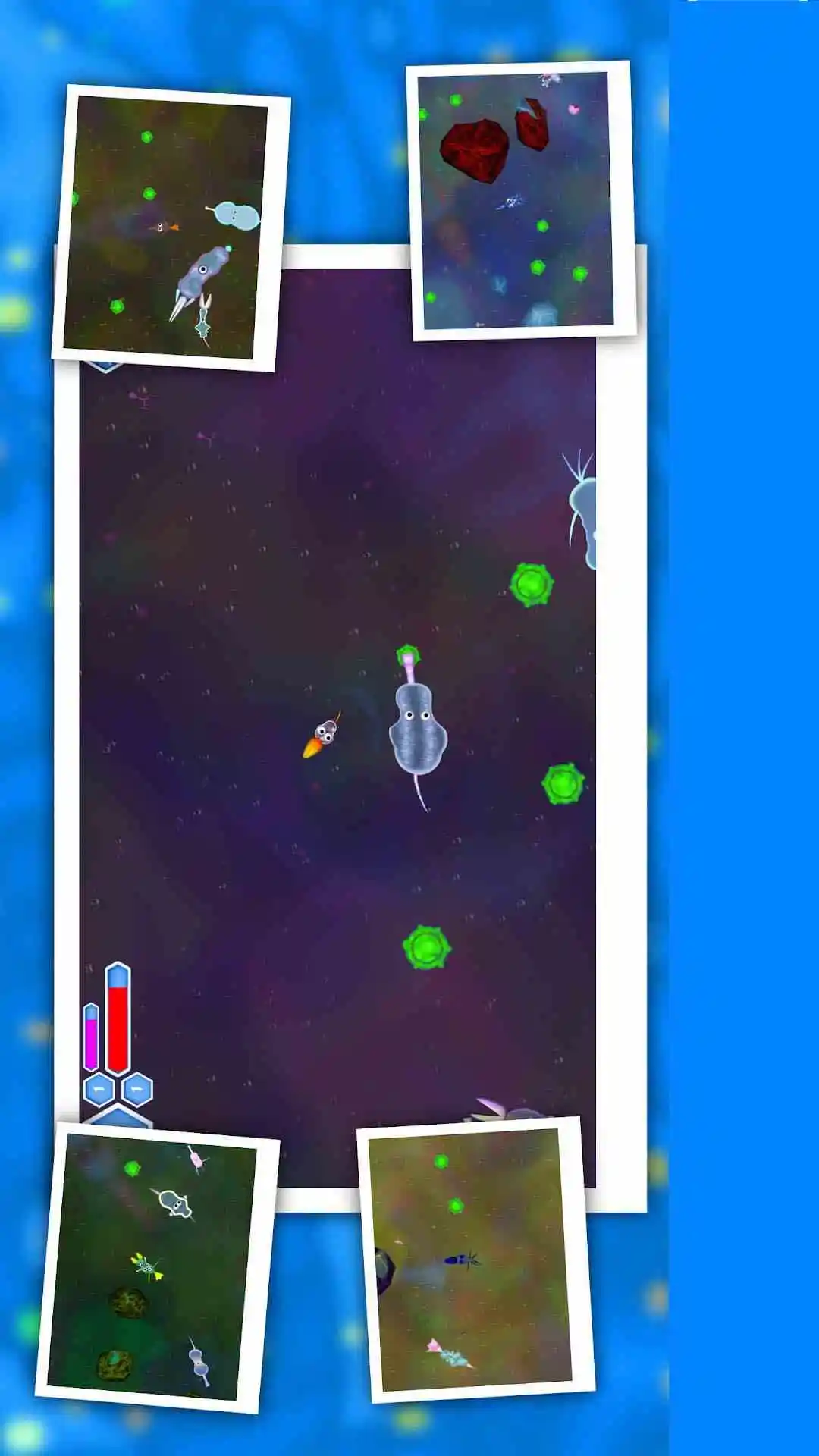 生物进化论 生物进化论