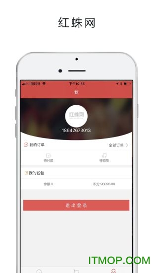 红蛛网图2